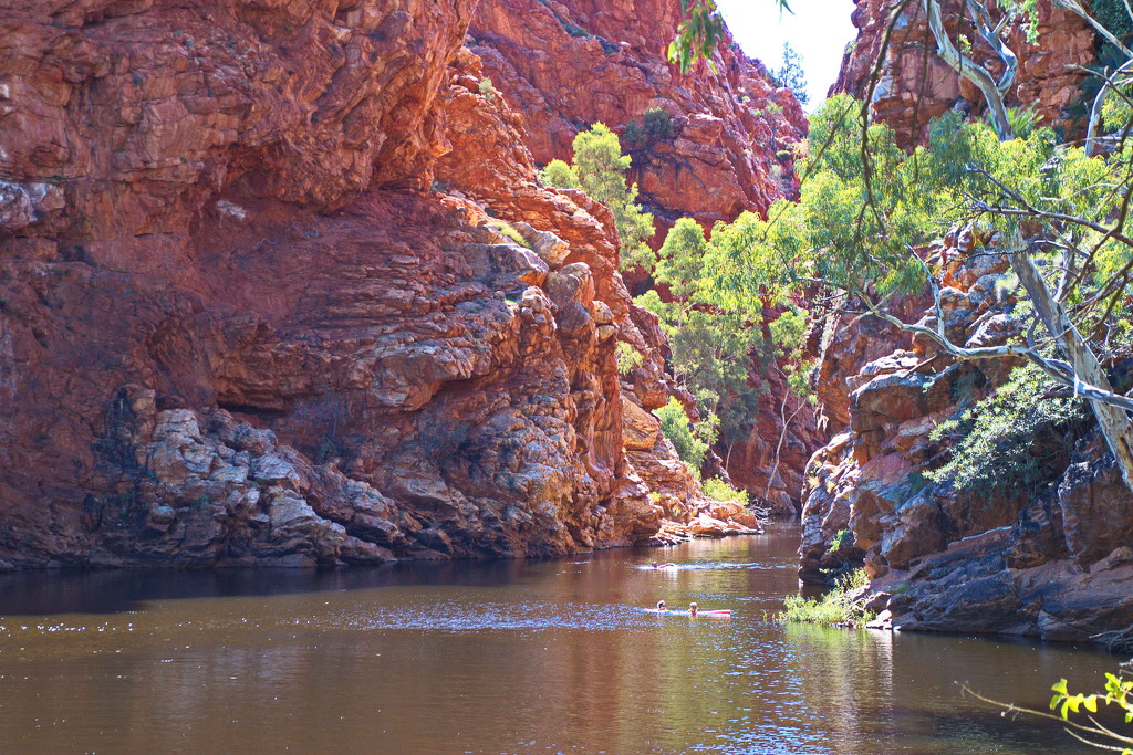 Day 7: Ellery Creek Big Hole - Swimmers by terryliv