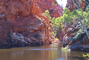 15th May 2021 - Day 7: Ellery Creek Big Hole - Swimmers