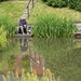 23 June The Fishing Pond again by delboy207
