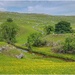 Green Hills of the Dales by lyndamcg