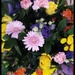 Error flowers! by blightygal