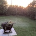 Our first light frost dogs will be pleased lawns cut yesterday lol by Dawn