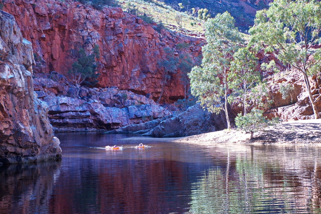 Day 7:  Ormiston Gorge - Swimmers by terryliv