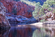 16th May 2021 - Day 7:  Ormiston Gorge - Swimmers