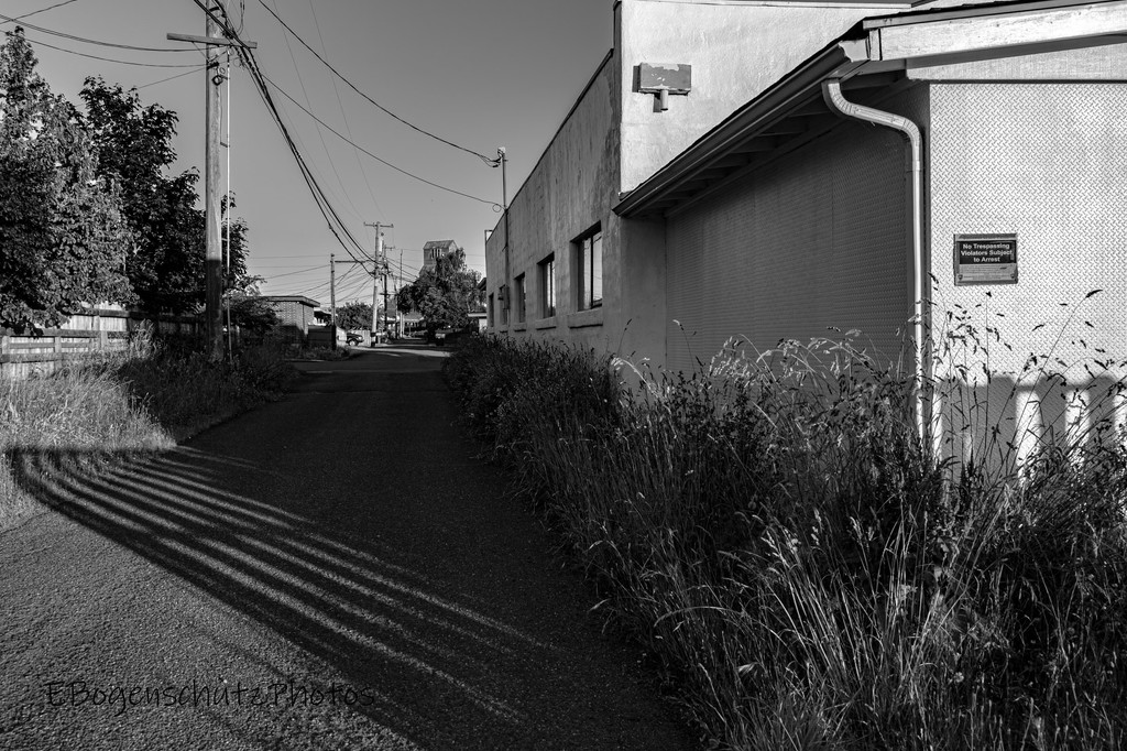 Alley in morning light  by theredcamera
