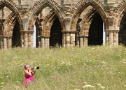 23rd Jun 2021 - Going Wild in Whitby