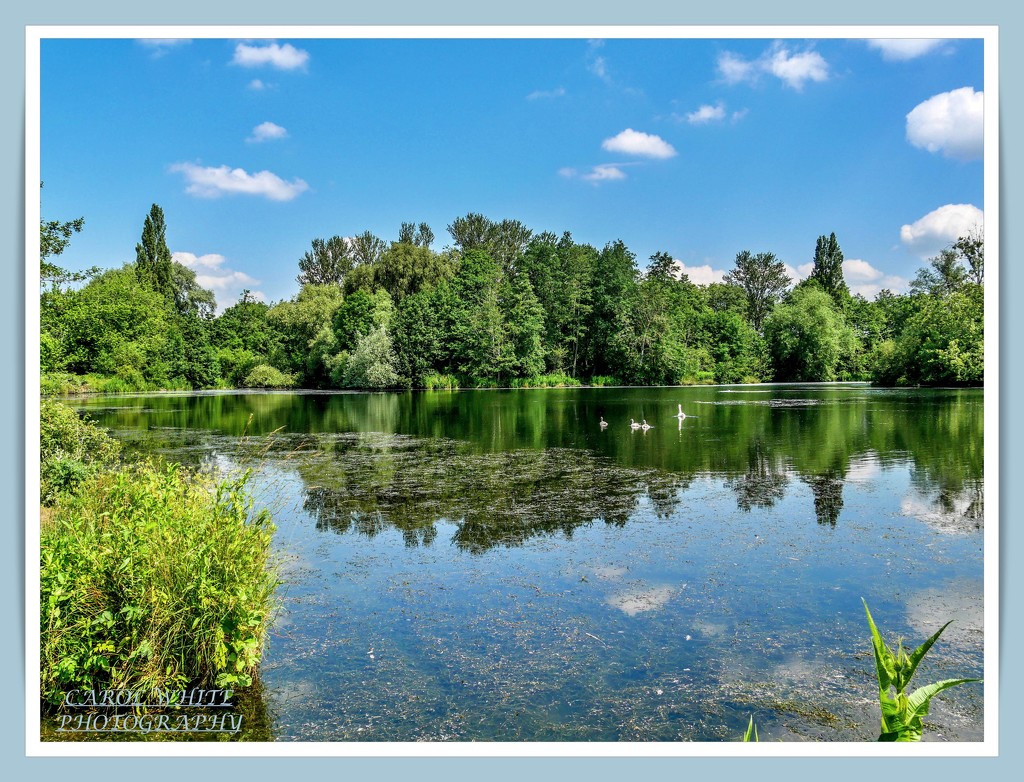 The Lake,Delapre Abbey Gardens by carolmw