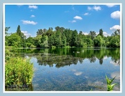 24th Jun 2021 - The Lake,Delapre Abbey Gardens