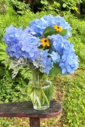 24th Jun 2021 - Flowers from my garden