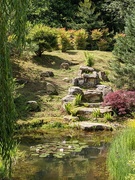 24th Jun 2021 - Japanese Garden.  Kingston Lacy