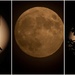 June Strawberry Moon collage by radiogirl