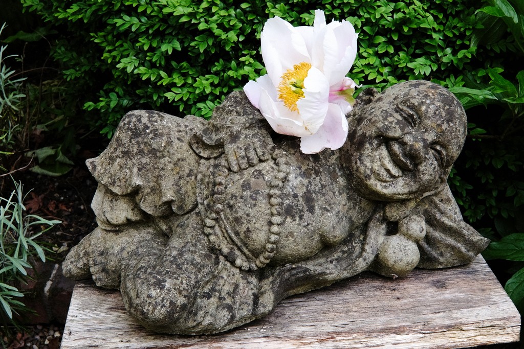 Buddha & Flower by allsop