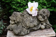 25th Jun 2021 - Buddha & Flower