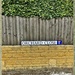 A Wall, Fence, Hedge; and a Big Fib. by ladymagpie