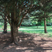 Bethnal Green Gardens by steviemichelleg