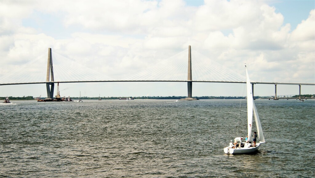 Bridge Over The Charleston Harbor  by randy23