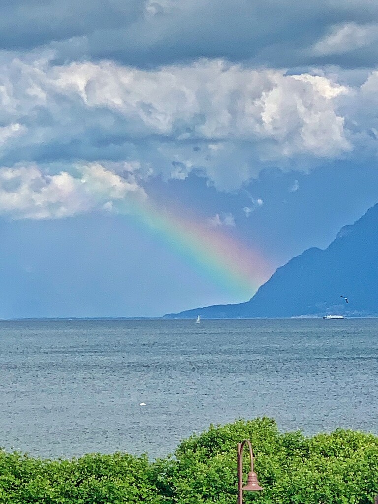 A piece of rainbow.  by cocobella