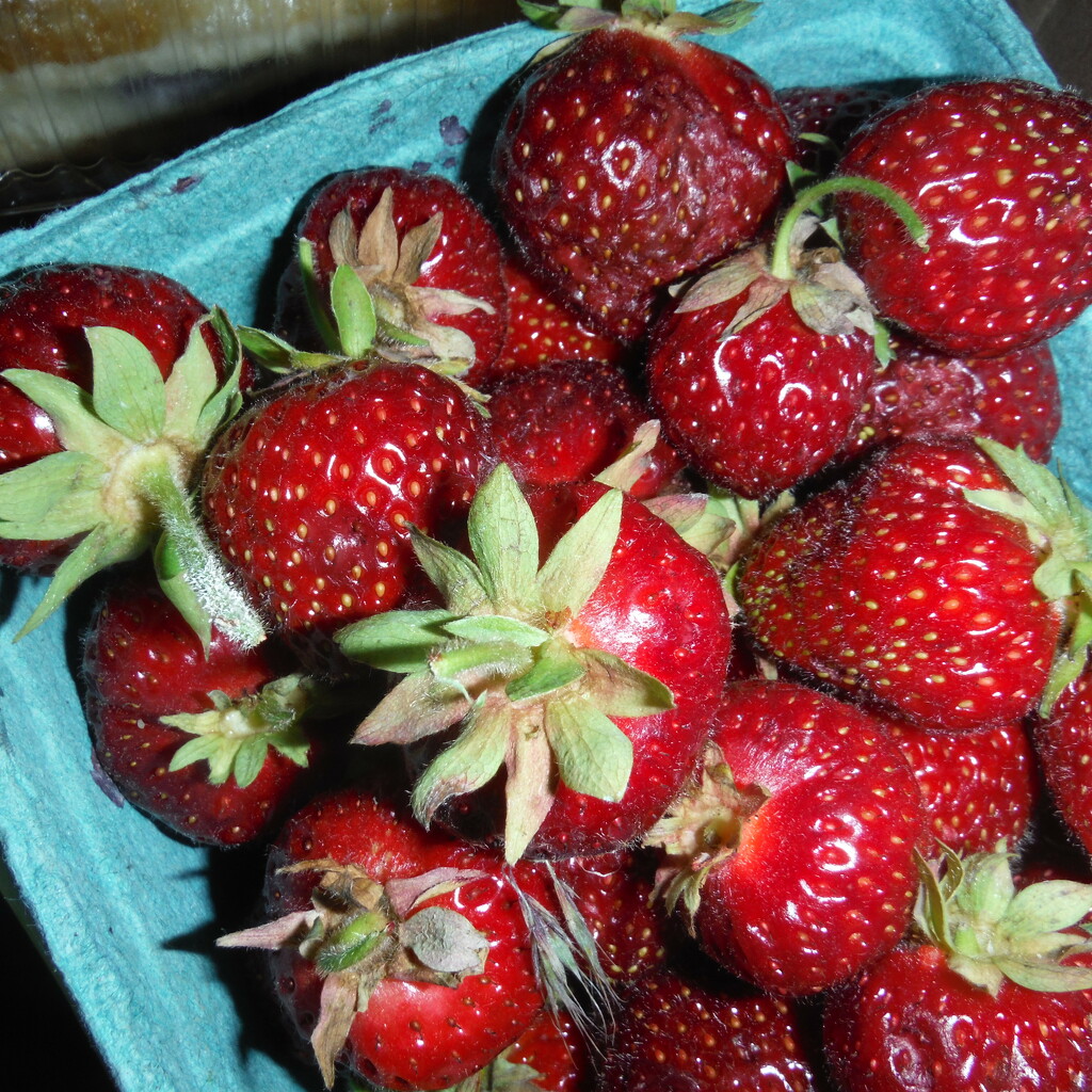 Strawberry Parfait Day by spanishliz
