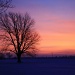 Snowy sunrise by svestdonley