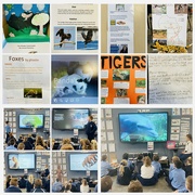 23rd Jun 2021 - Research Projects and Presentations