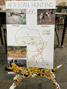 21st Jun 2021 - African Hunting Dogs
