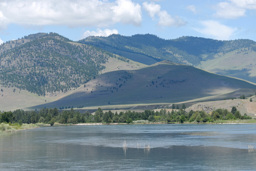 The Flathead River In Montana by bjywamer