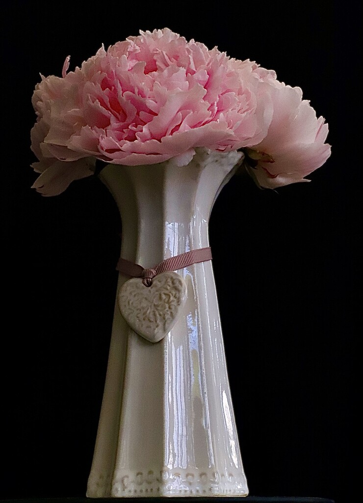 Peonies in a Vase by carole_sandford