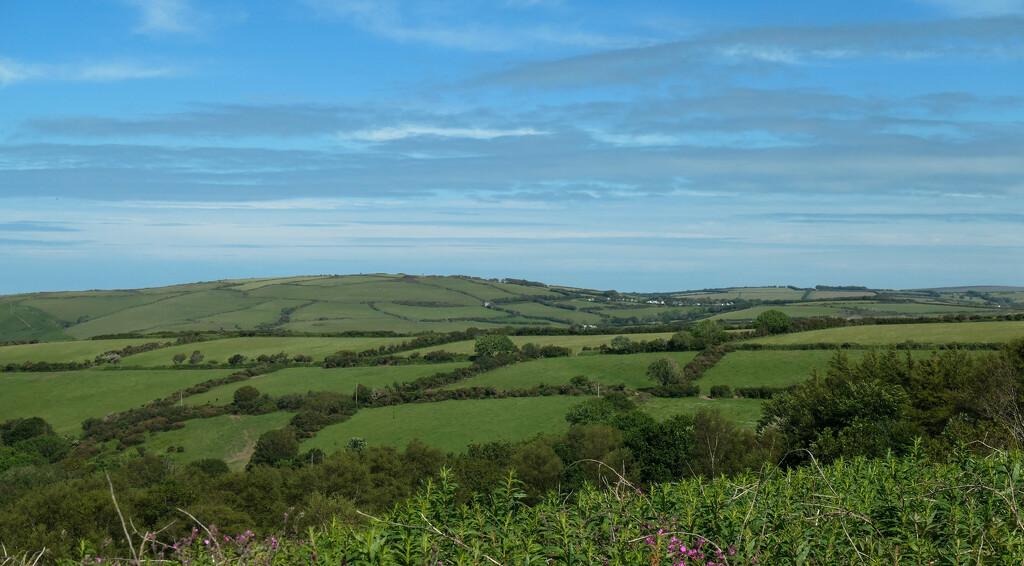 Exmoor... by susie1205