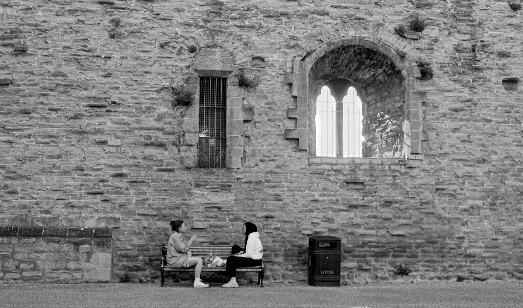 Agfa 100 35mm Film : Castle Chat (2) by phil_howcroft