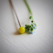 27th Jun 2021 - Pin and forget-me-not