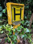 27th Jun 2021 - Local fire hydrant sign 