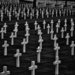 0627 - American War Cemetery, Cambridge by bob65