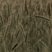 grain field again by j_kamil