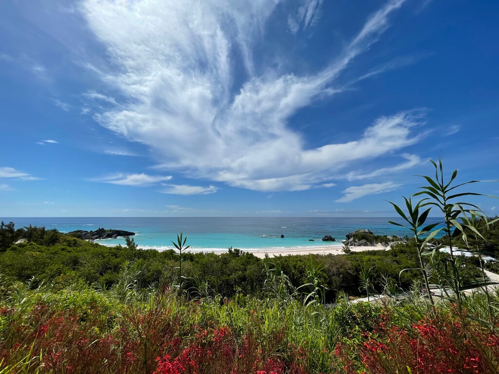 Colourful beach scene by lisasavill