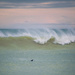 Surfing Seal by helenw2