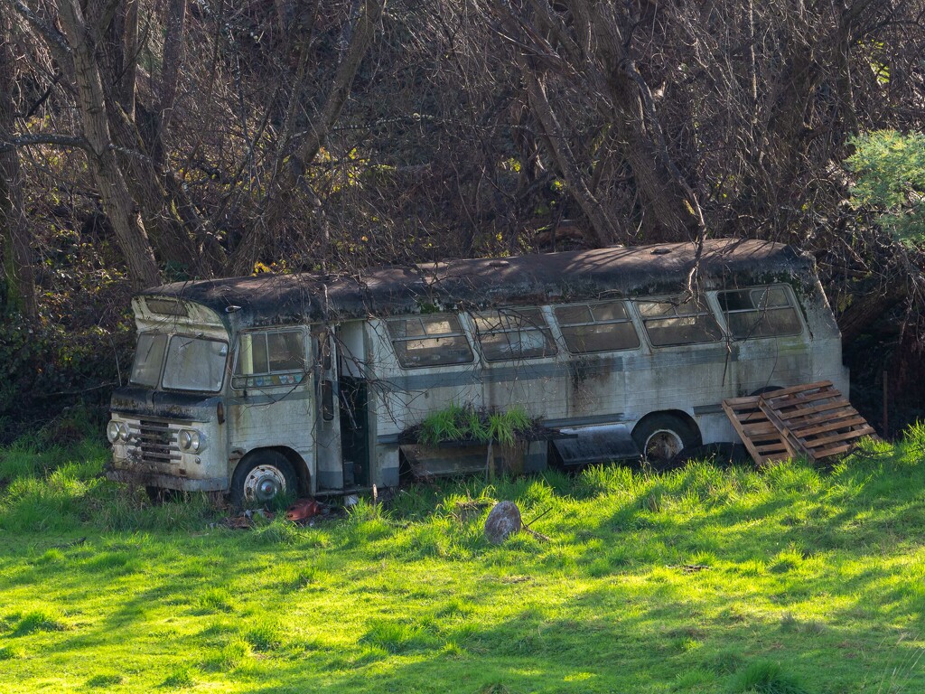 An old bus... by gosia
