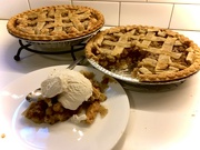 27th Jun 2021 - 6-27-21 white mulberry pie
