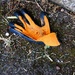 Pleasley Vale lost glove by allsop