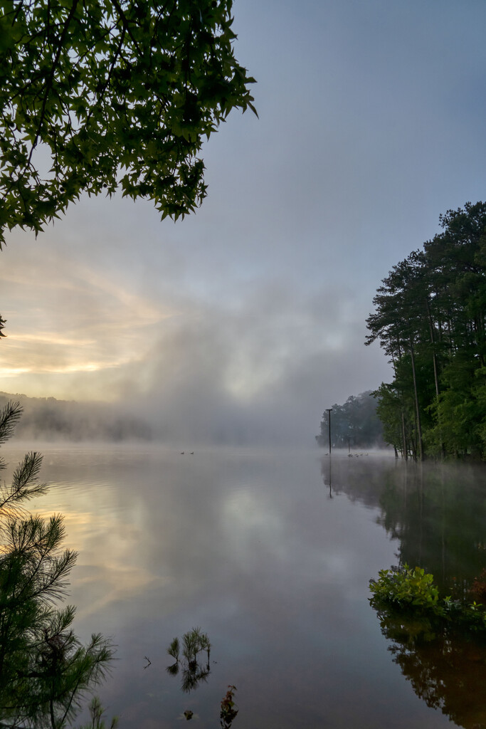 Foggy Morning @ Clark Creek by kvphoto