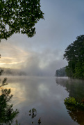 28th Jun 2021 - Foggy Morning @ Clark Creek