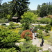 Hakone Gardens, Saratoga by acolyte