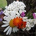 Wildflower Bouquet  by julie