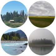28th Jun 2021 - A Variety of Landscapes