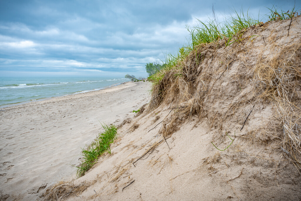 beach dunes by myhrhelper