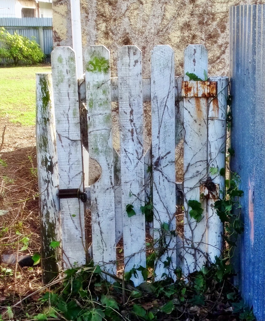 The old gate.. by maggiemae