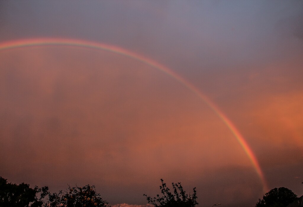 Evening Rainbow by nodrognai