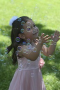 25th Jun 2021 - Bubbles