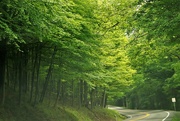 29th Jun 2021 - West Virginia Country Roads