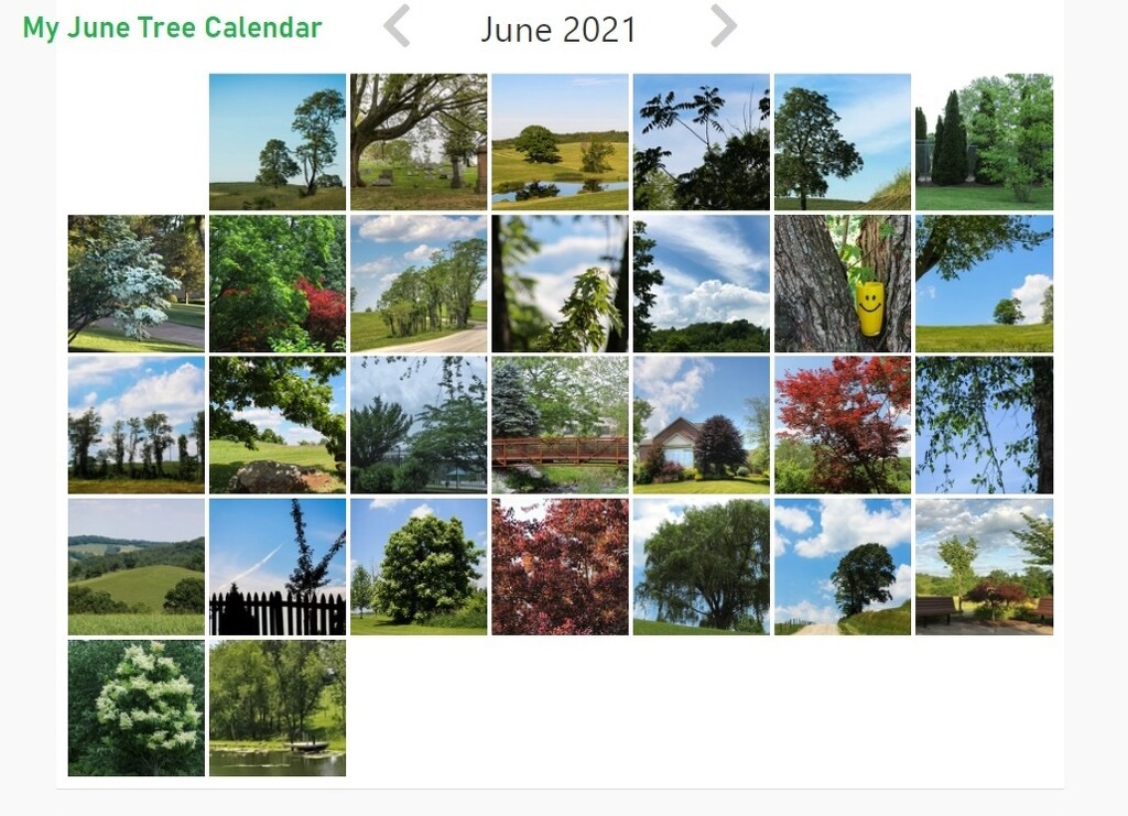 My June tree calendar by mittens