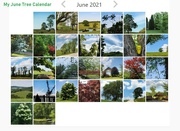 30th Jun 2021 - My June tree calendar